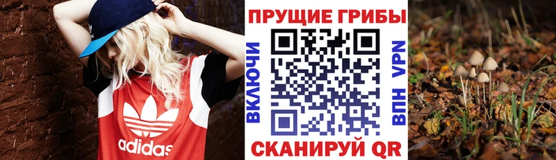 Галлюциногенные грибы прущие грибы  Боровичи 