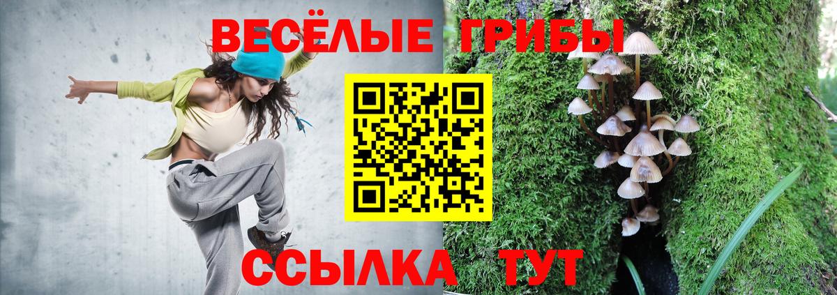 Псилоцибиновые грибы Magic Shrooms  Боровичи 