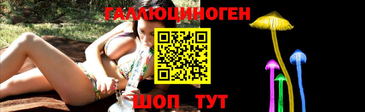 Псилоцибиновые грибы Cubensis Боровичи